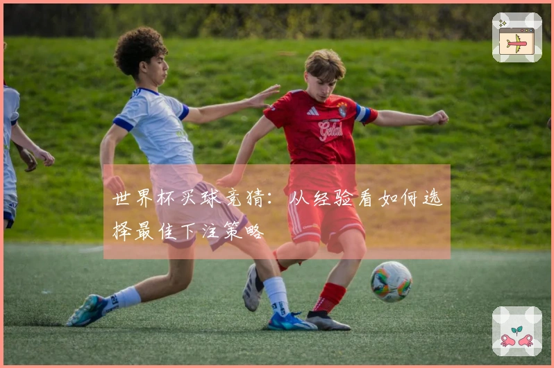 世界杯买球竞猜：从经验看如何选择最佳下注策略