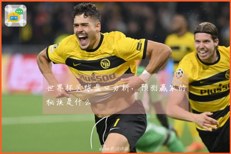 世界杯买球盘口分析，预测赢家的秘诀是什么