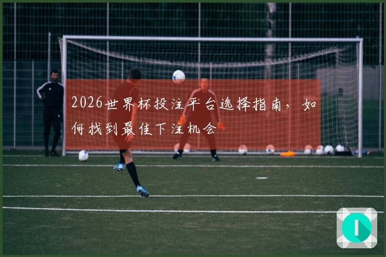 2026世界杯投注平台选择指南，如何找到最佳下注机会