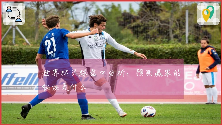 世界杯买球盘口分析，预测赢家的秘诀是什么