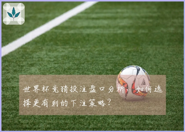 世界杯竞猜投注盘口分析,如何选择更有利的下注策略?