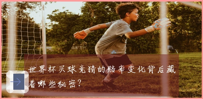 世界杯买球竞猜的赔率变化背后藏着哪些秘密？